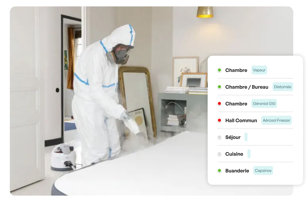 exterminateur punaise de lit bordeaux