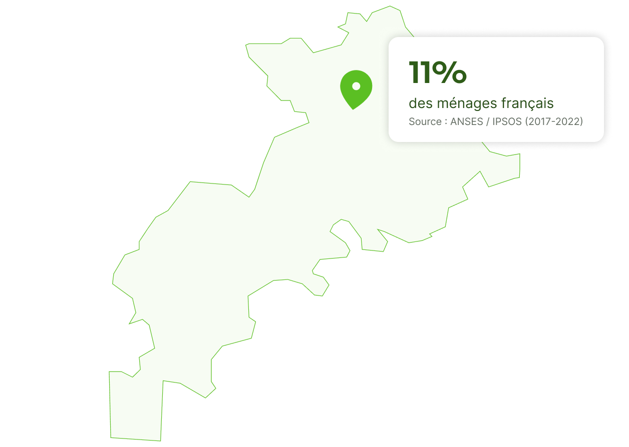 punaise de lit à toulouse